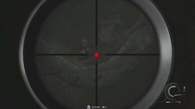 ラクーン君全25体の場所一覧35